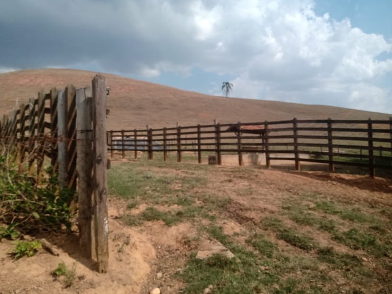FAZENDA 254 HECTARES NO VALE DO PARAIBA - SILVEIRAS - 