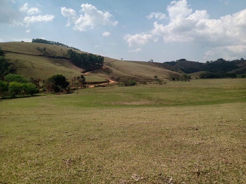FAZENDA 254 HECTARES NO VALE DO PARAIBA - SILVEIRAS - 