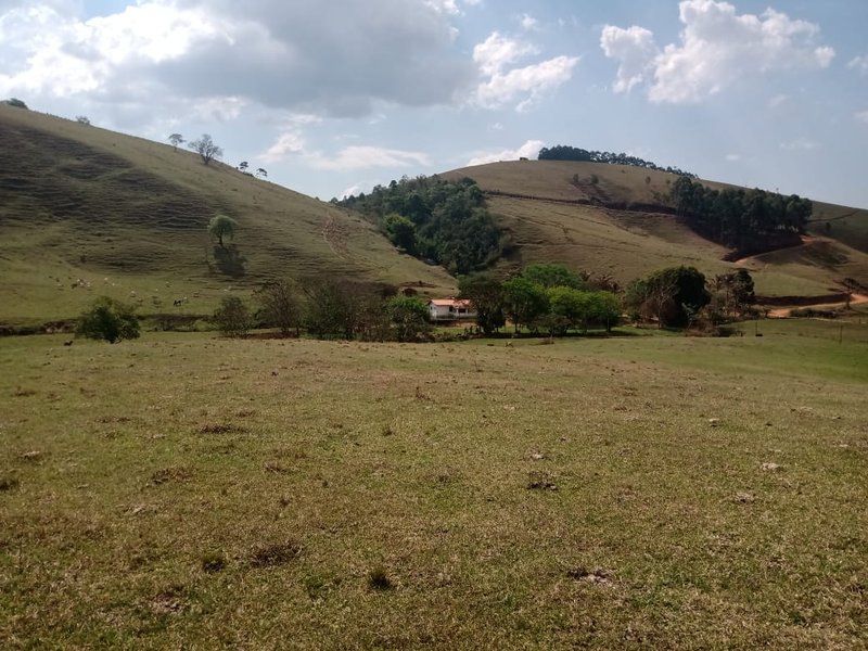 FAZENDA 254 HECTARES NO VALE DO PARAIBA - SILVEIRAS - 