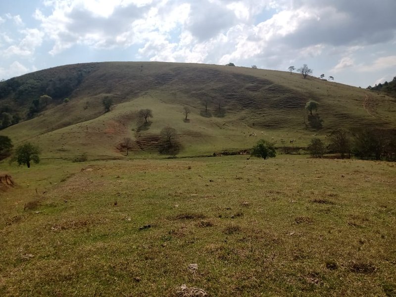 FAZENDA 254 HECTARES NO VALE DO PARAIBA - SILVEIRAS - 