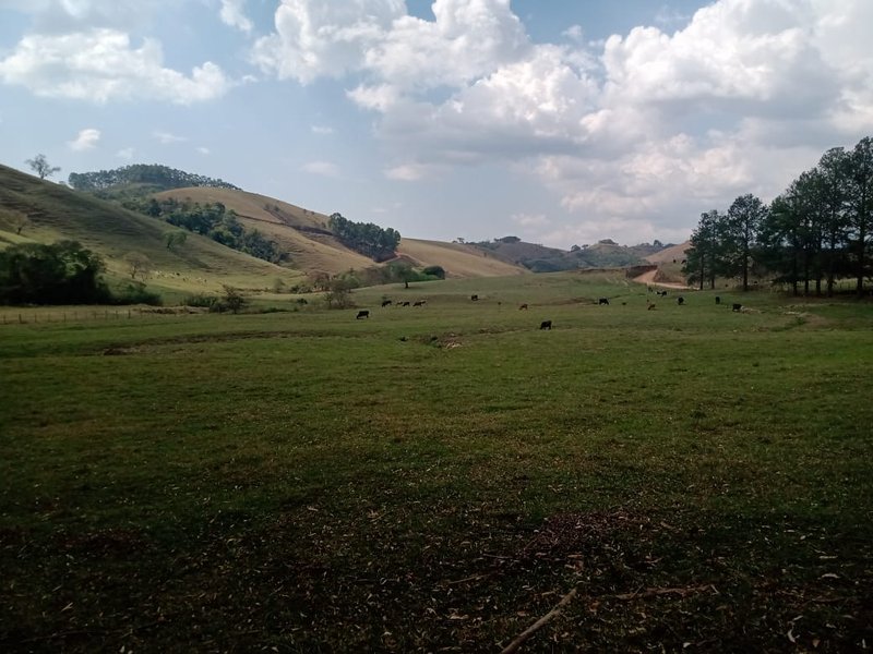 FAZENDA 254 HECTARES NO VALE DO PARAIBA - SILVEIRAS - 