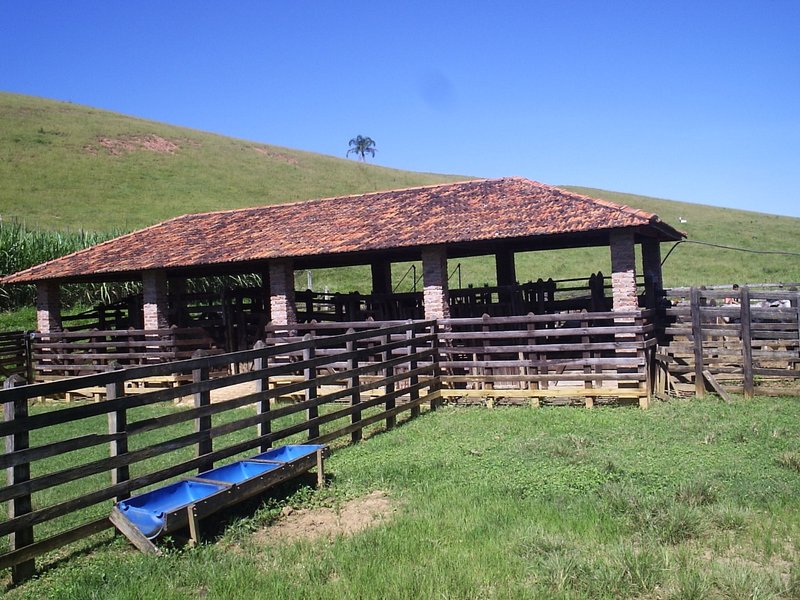 FAZENDA 254 HECTARES NO VALE DO PARAIBA - SILVEIRAS - 