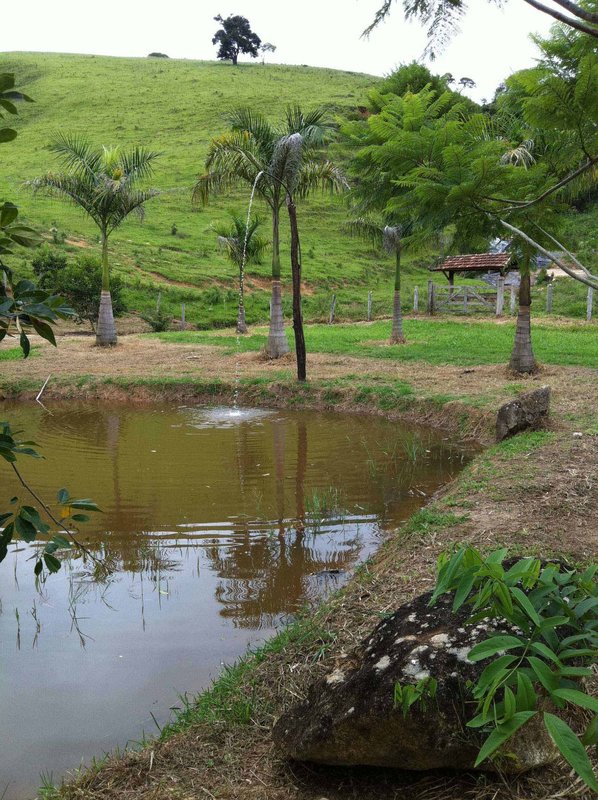 FAZENDA 254 HECTARES NO VALE DO PARAIBA - SILVEIRAS - 
