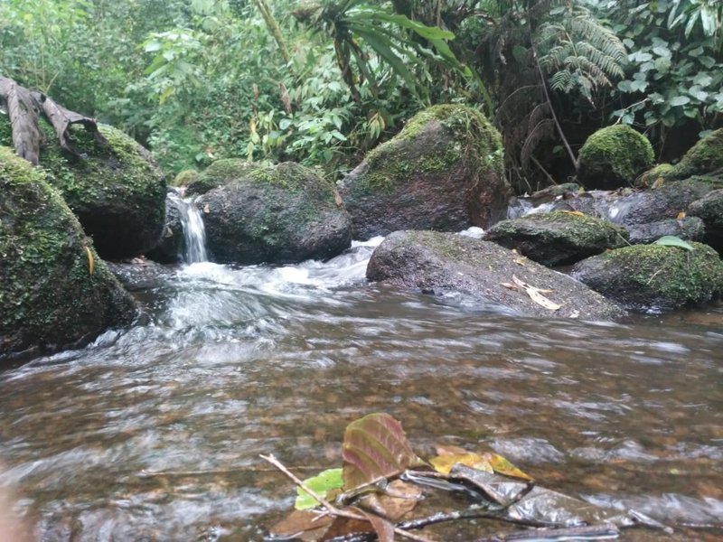 ÁREA DE 29.6 HECTARES EM MONTEIRO LOBATO - MONTEIRO LOBATO - 