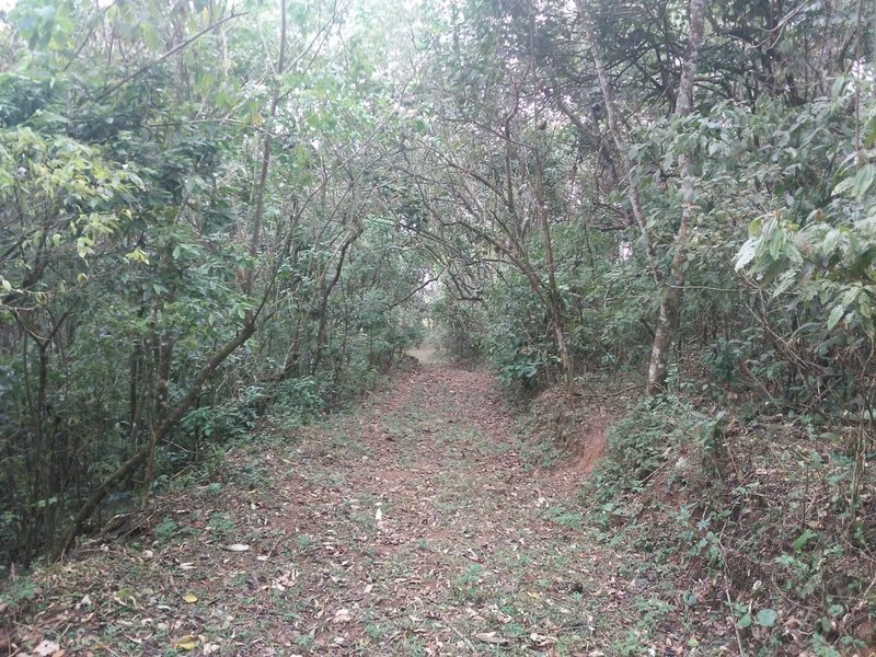 ÁREA DE 29.6 HECTARES EM MONTEIRO LOBATO - MONTEIRO LOBATO - 
