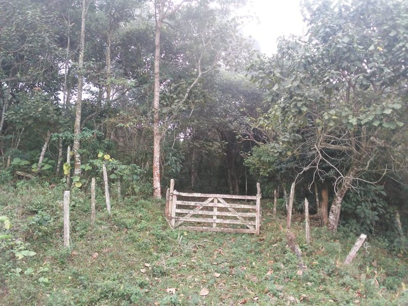 ÁREA DE 29.6 HECTARES EM MONTEIRO LOBATO - MONTEIRO LOBATO - 