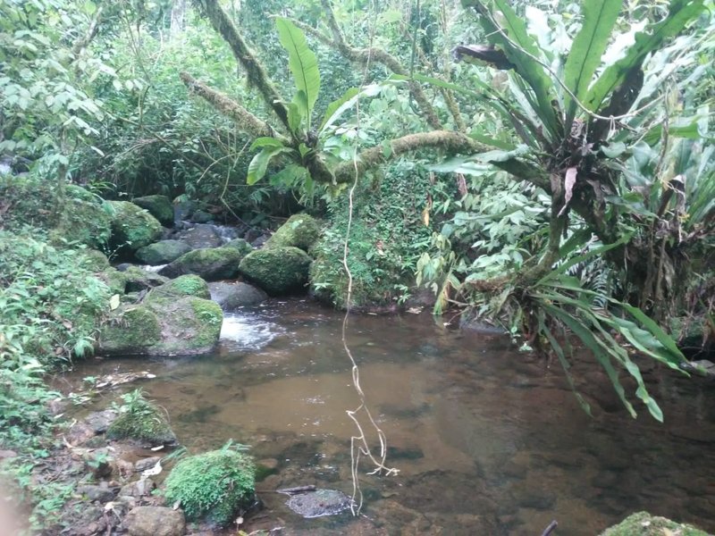 ÁREA DE 29.6 HECTARES EM MONTEIRO LOBATO - MONTEIRO LOBATO - 
