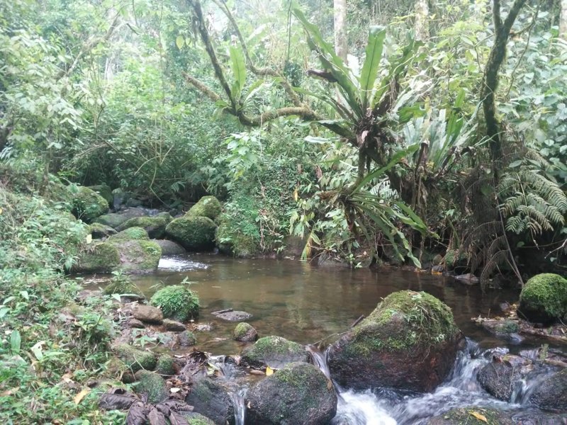 ÁREA DE 29.6 HECTARES EM MONTEIRO LOBATO - MONTEIRO LOBATO - 