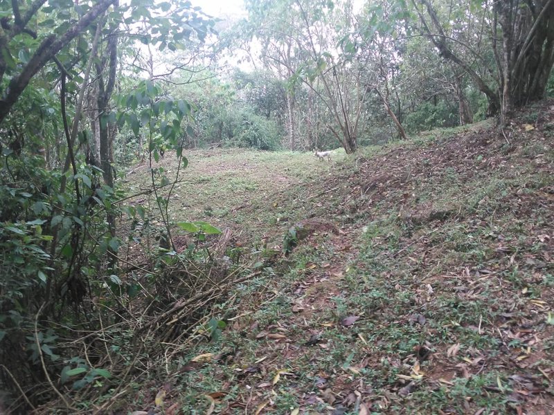 ÁREA DE 29.6 HECTARES EM MONTEIRO LOBATO - MONTEIRO LOBATO - 