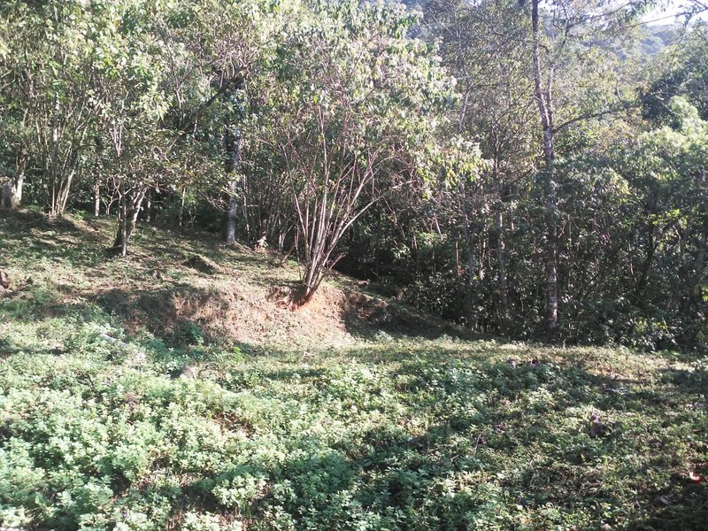 ÁREA DE 29.6 HECTARES EM MONTEIRO LOBATO - MONTEIRO LOBATO - 