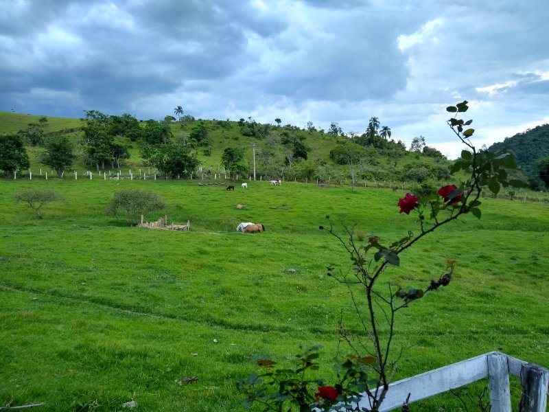 SÍTIO 6.6 HECTARES EM JACAREÍ - Jacareí - 
