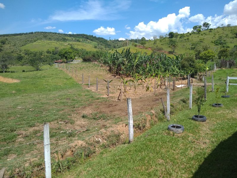 SÍTIO 6.6 HECTARES EM JACAREÍ - Jacareí - 