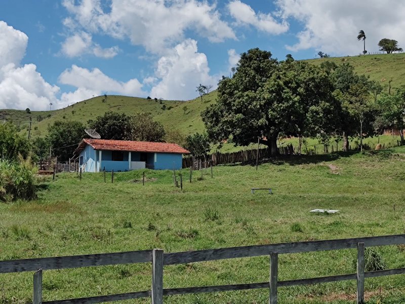 SÍTIO 6.6 HECTARES EM JACAREÍ - Jacareí - 