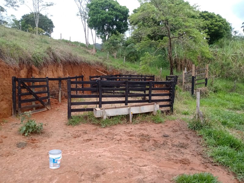 ÁREA RURAL COM 9.6 HECTARES EM MONTEIRO LOBATO - MONTEIRO LOBATO - 