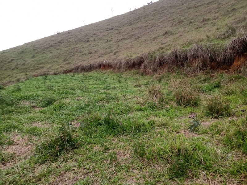 ÁREA RURAL COM 9.6 HECTARES EM MONTEIRO LOBATO - MONTEIRO LOBATO - 