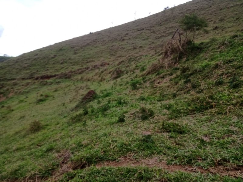 ÁREA RURAL COM 9.6 HECTARES EM MONTEIRO LOBATO - MONTEIRO LOBATO - 
