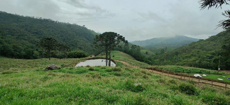 SÍTIO 64 HECTARES EM CRUZEIRO EM CRUZEIRO - CRUZEIRO - 