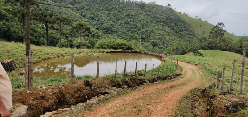 SÍTIO 64 HECTARES EM CRUZEIRO EM CRUZEIRO - CRUZEIRO - 
