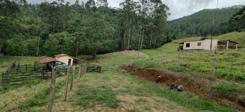 SÍTIO 64 HECTARES EM CRUZEIRO EM CRUZEIRO - CRUZEIRO - 