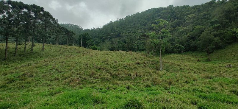 SÍTIO 64 HECTARES EM CRUZEIRO EM CRUZEIRO - CRUZEIRO - 