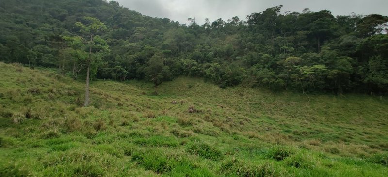 SÍTIO 64 HECTARES EM CRUZEIRO EM CRUZEIRO - CRUZEIRO - 