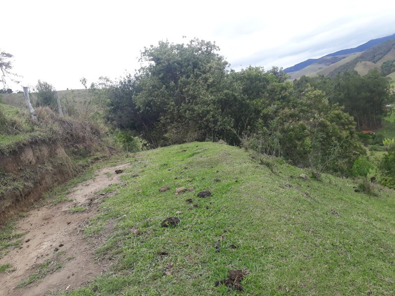 SÍTIO 3 ALQUEIRES EM CUNHA - Cunha - 
