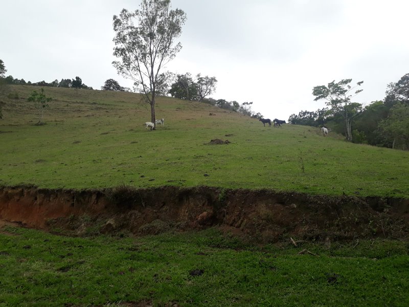SÍTIO 3 ALQUEIRES EM CUNHA - Cunha - 