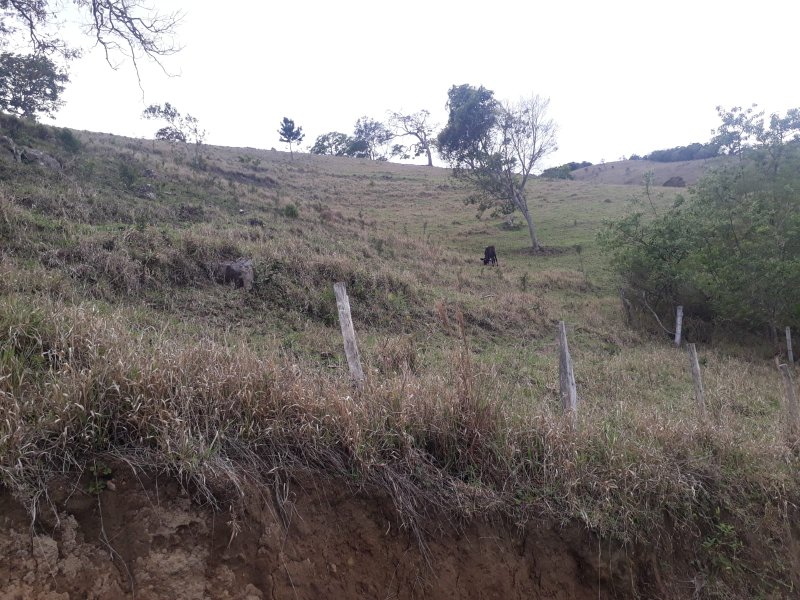 SÍTIO 3 ALQUEIRES EM CUNHA - Cunha - 