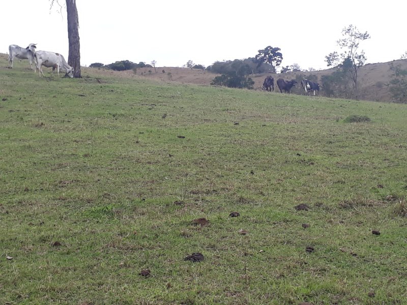 SÍTIO 3 ALQUEIRES EM CUNHA - Cunha - 