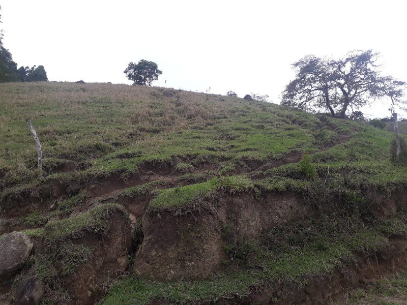SÍTIO 3 ALQUEIRES EM CUNHA - Cunha - 