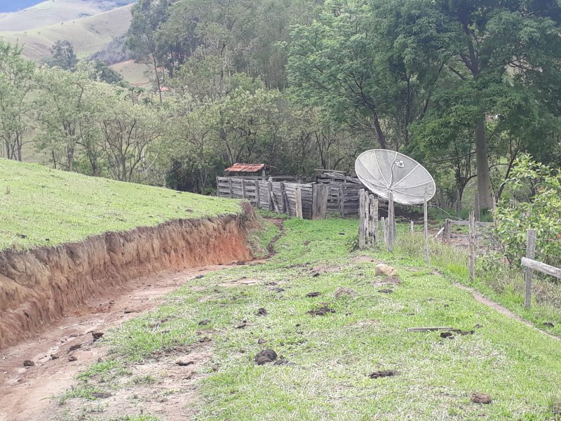 SÍTIO 3 ALQUEIRES EM CUNHA - Cunha - 
