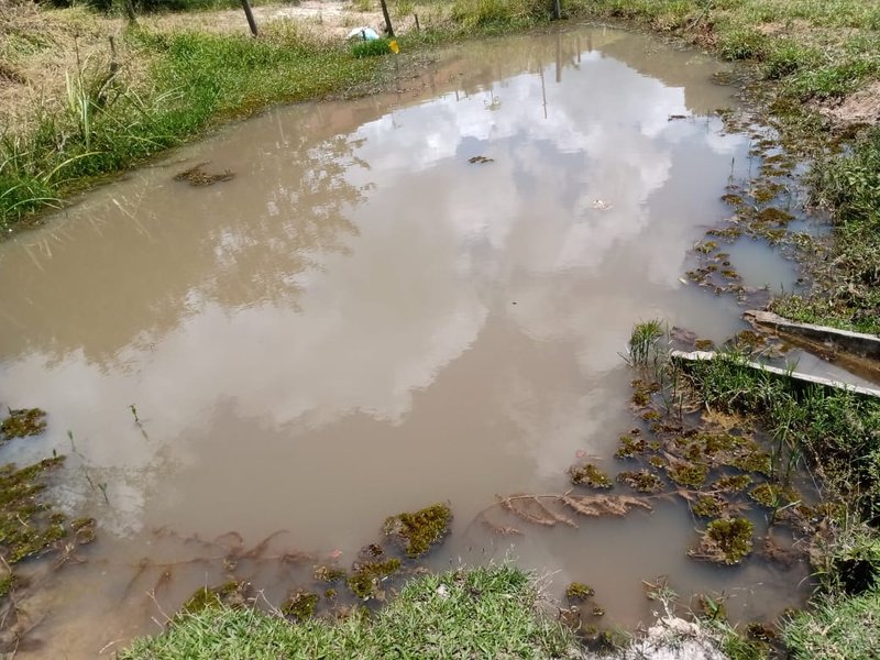 SÍTIO 5 HACTARES EM PARAIBUNA - Paraibuna - 