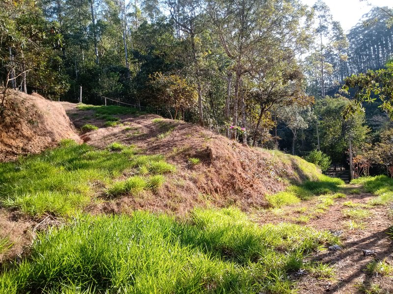 ÁREA COM 2.4 HECTARES EM MONTEIRO LOBATO - MONTEIRO LOBATO - 