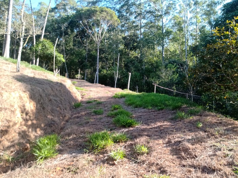 ÁREA COM 2.4 HECTARES EM MONTEIRO LOBATO - MONTEIRO LOBATO - 
