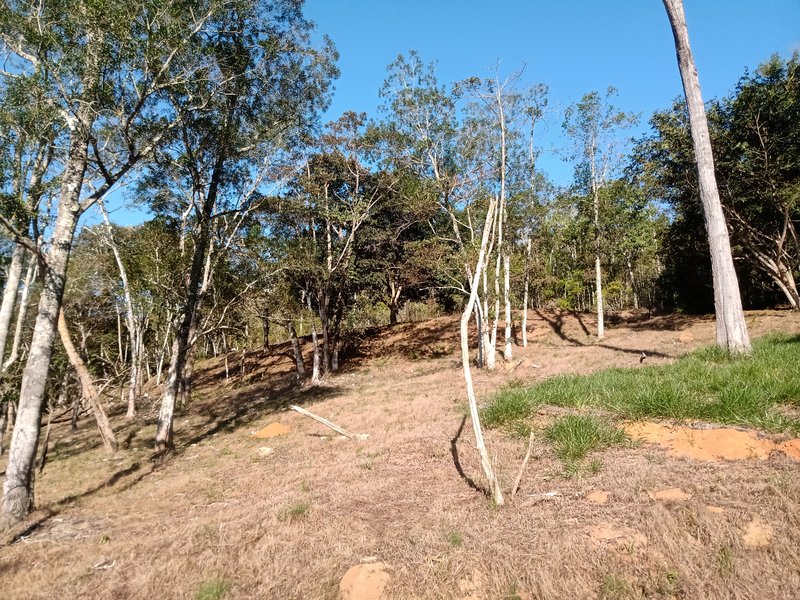 ÁREA COM 2.4 HECTARES EM MONTEIRO LOBATO - MONTEIRO LOBATO - 