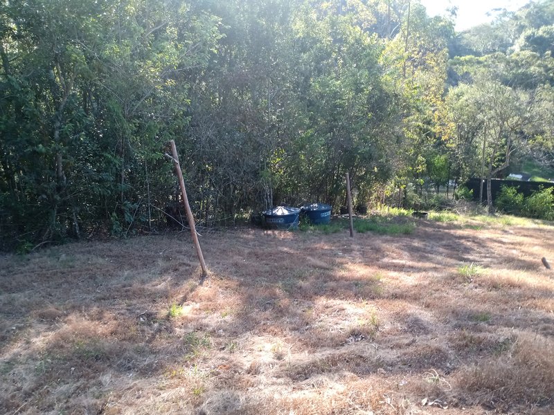 ÁREA COM 2.4 HECTARES EM MONTEIRO LOBATO - MONTEIRO LOBATO - 