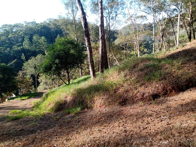 ÁREA COM 2.4 HECTARES EM MONTEIRO LOBATO - MONTEIRO LOBATO - 