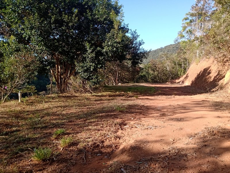 ÁREA COM 2.4 HECTARES EM MONTEIRO LOBATO - MONTEIRO LOBATO - 
