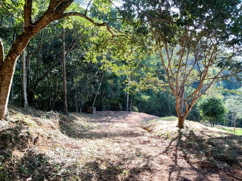ÁREA COM 2.4 HECTARES EM MONTEIRO LOBATO - MONTEIRO LOBATO - 