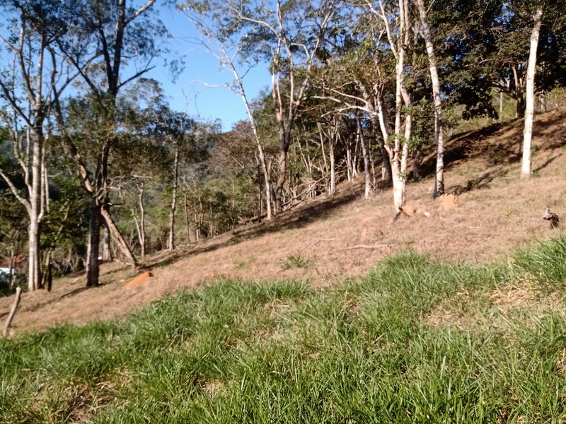ÁREA COM 2.4 HECTARES EM MONTEIRO LOBATO - MONTEIRO LOBATO - 