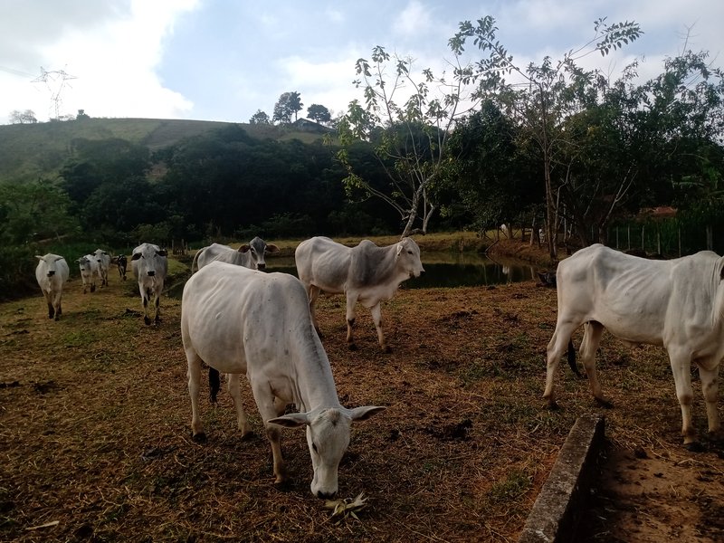 SÍTIO COM 2.7 HECTARES EM SÃO JOSÉ DOS CAMPOS - São José dos Campos - 