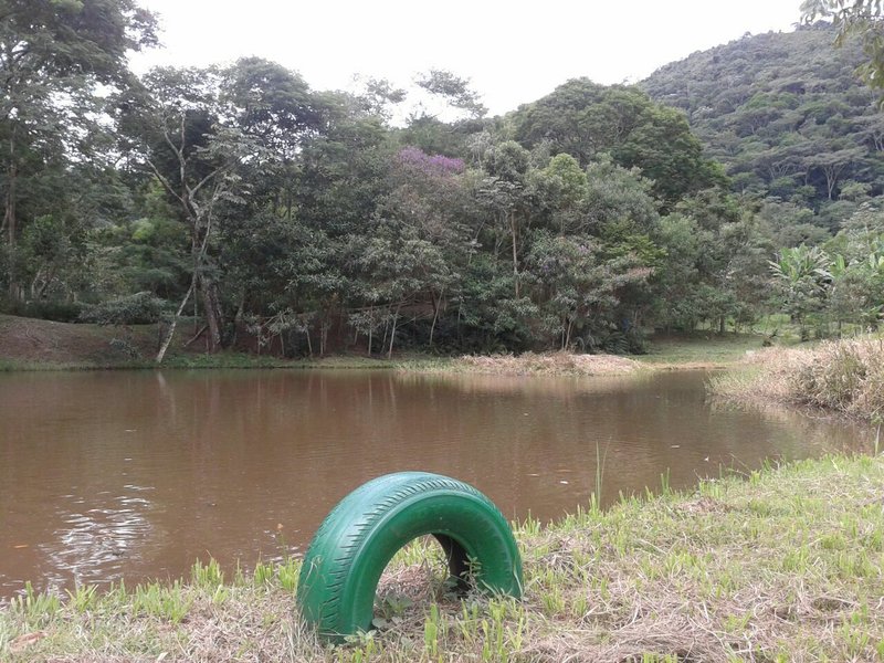 CHÁCARA COM 15.400 METROS EM MONTEIRO LOBATO - MONTEIRO LOBATO - 