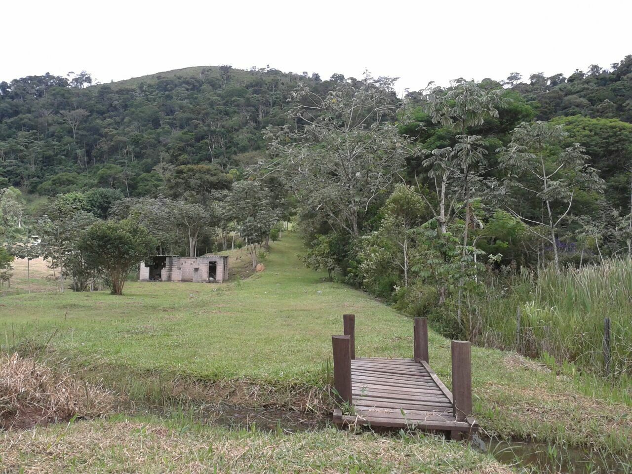 Sítio, 4 quartos, 10000 m² - Foto 6