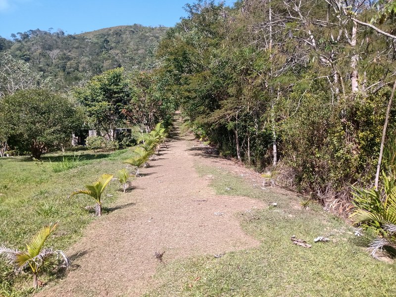 CHÁCARA COM 15.400 METROS EM MONTEIRO LOBATO - MONTEIRO LOBATO - 