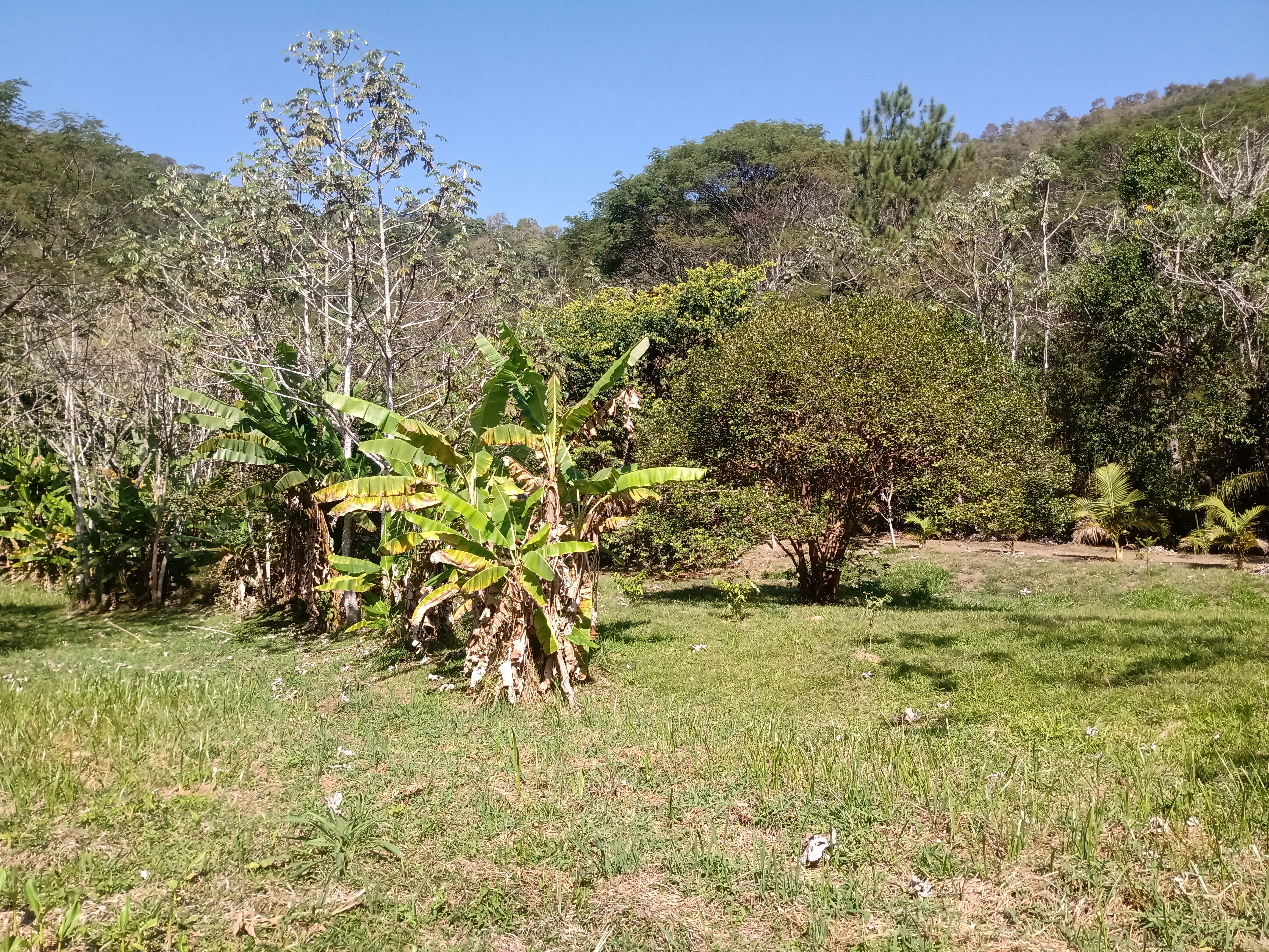 Sítio, 4 quartos, 10000 m² - Foto 16