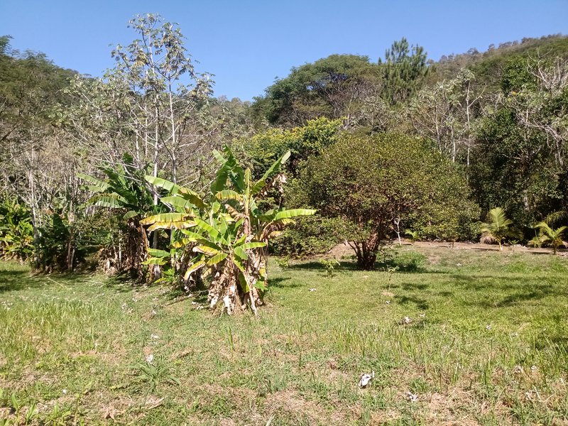 CHÁCARA COM 15.400 METROS EM MONTEIRO LOBATO - MONTEIRO LOBATO - 