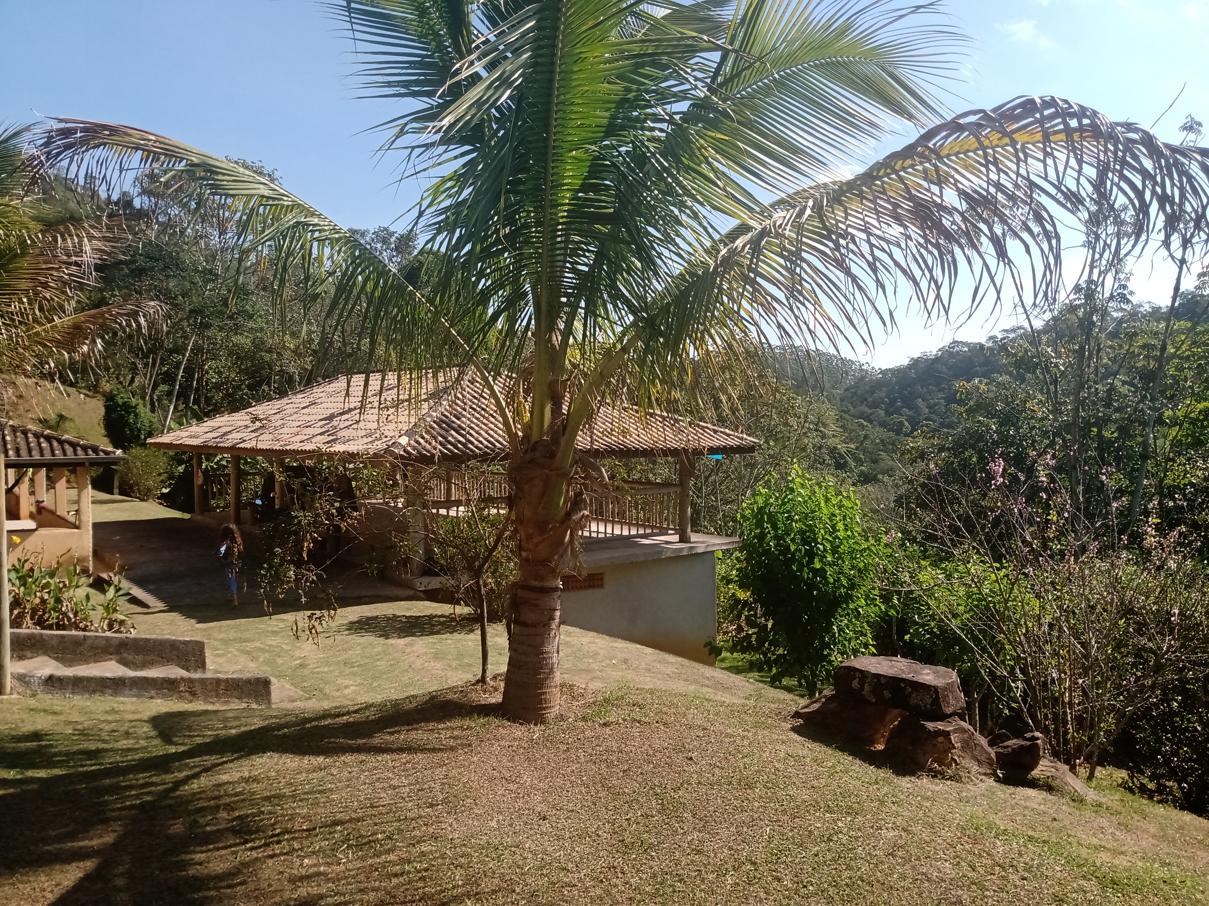 Sítio, 4 quartos, 10000 m² - Foto 4