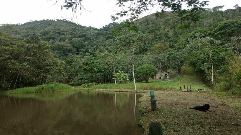 CHÁCARA COM 15.400 METROS EM MONTEIRO LOBATO - MONTEIRO LOBATO - 