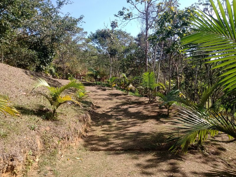 CHÁCARA COM 15.400 METROS EM MONTEIRO LOBATO - MONTEIRO LOBATO - 