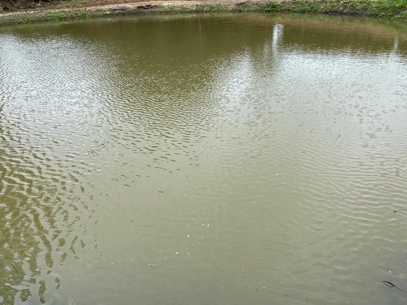 SÍTIO COM 9.6 HECTARES EM SÃO MIGUEL DO ARCANJO - SAO MIGUEL ARCANJO - 